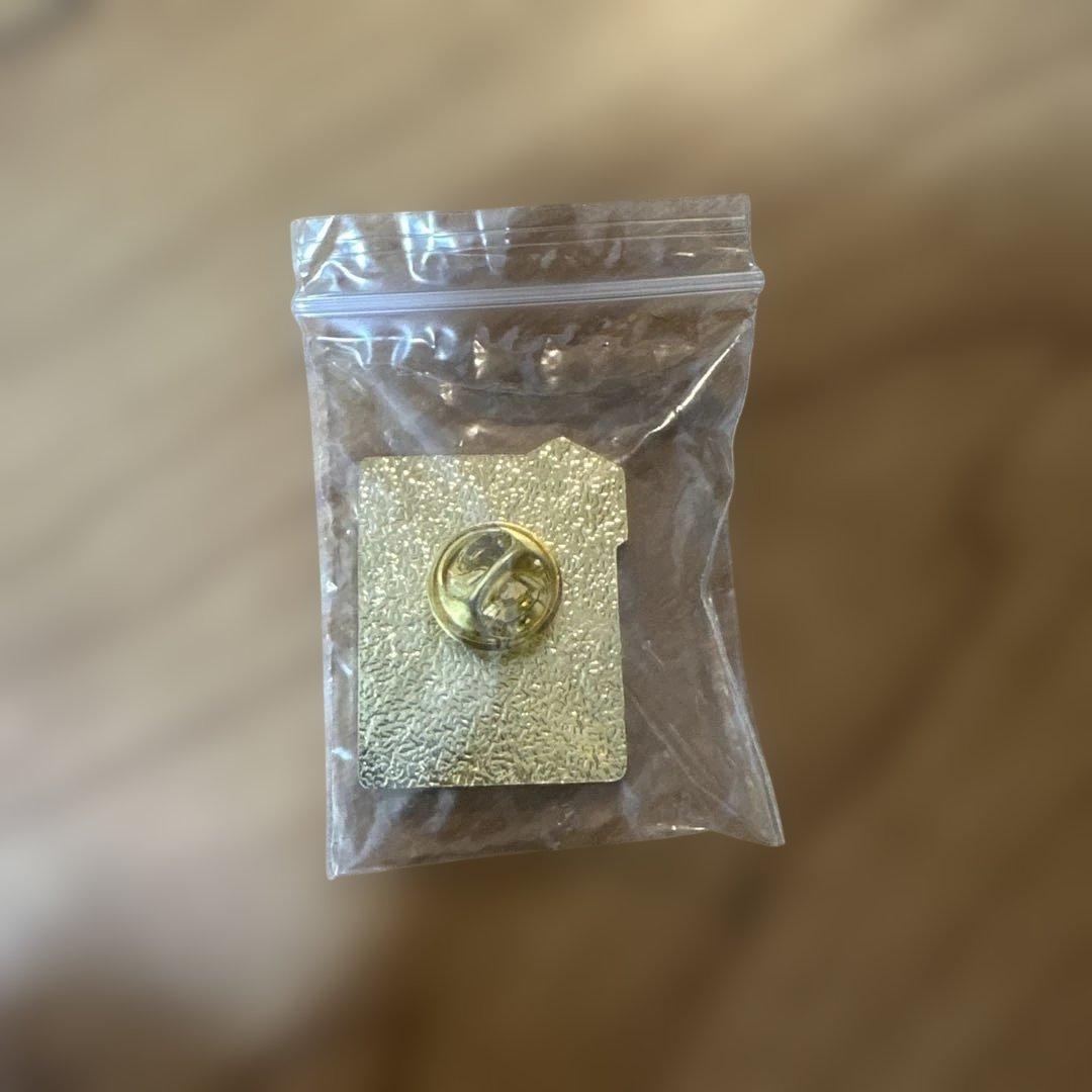 MGM 大阪万博2025 ピン USA PAVILION