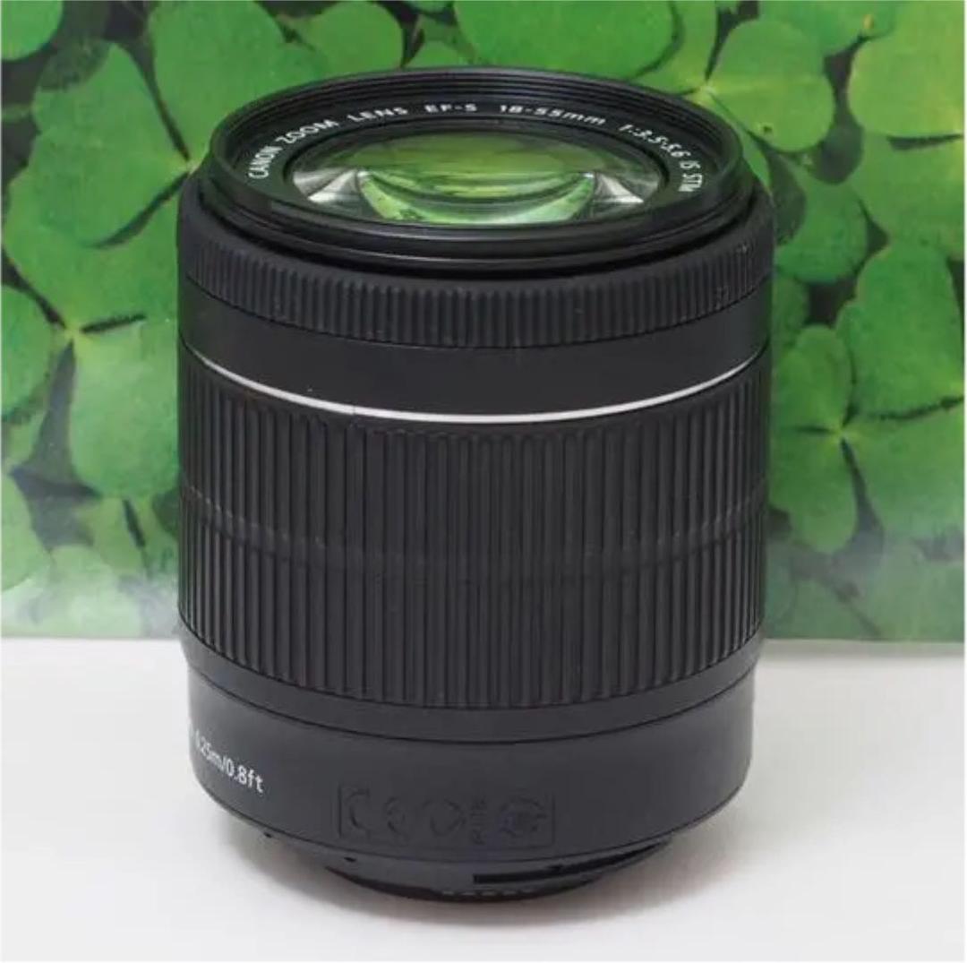 【美品】キヤノンEF-S18-55mm STM標準ズーム❤️音が静かで動画で活躍