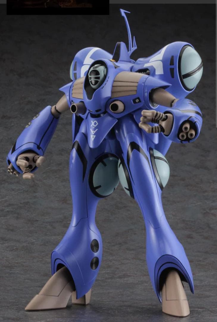 クリアランスセール QUEADLUUN-RAU MAXIMILIAN J