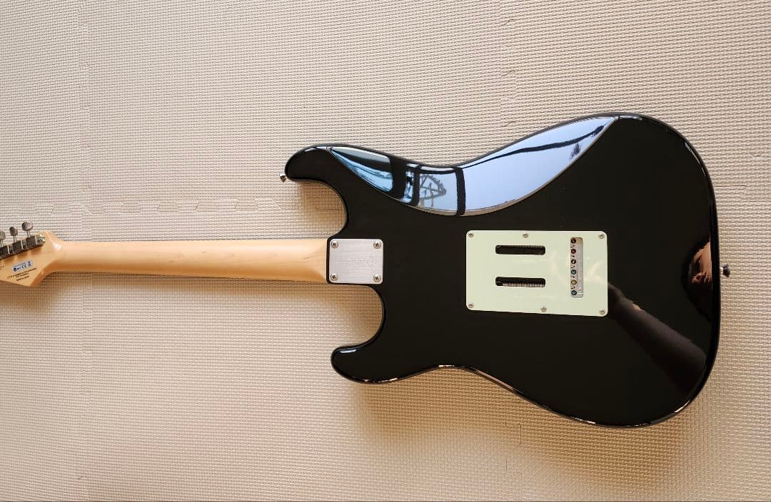 ※※※最終価格※※※　　Fujigen NST20RAL BLK フジゲン