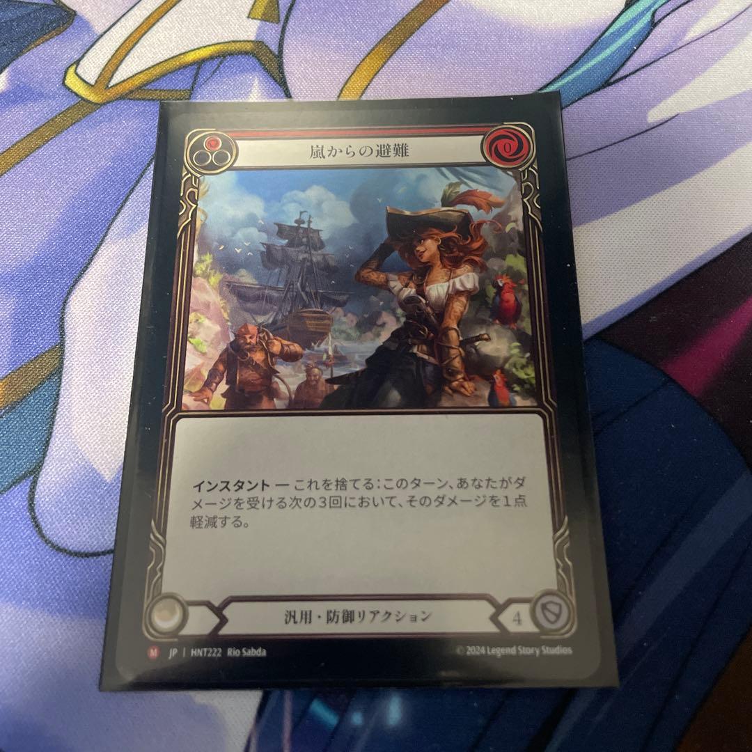 嵐からの避難 日語 flesh and blood