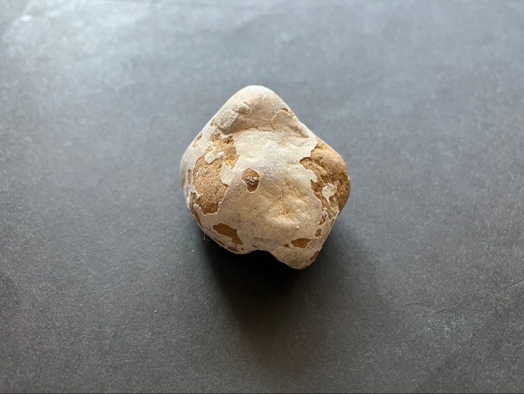 ヨルダン　死海の石 2010年採取