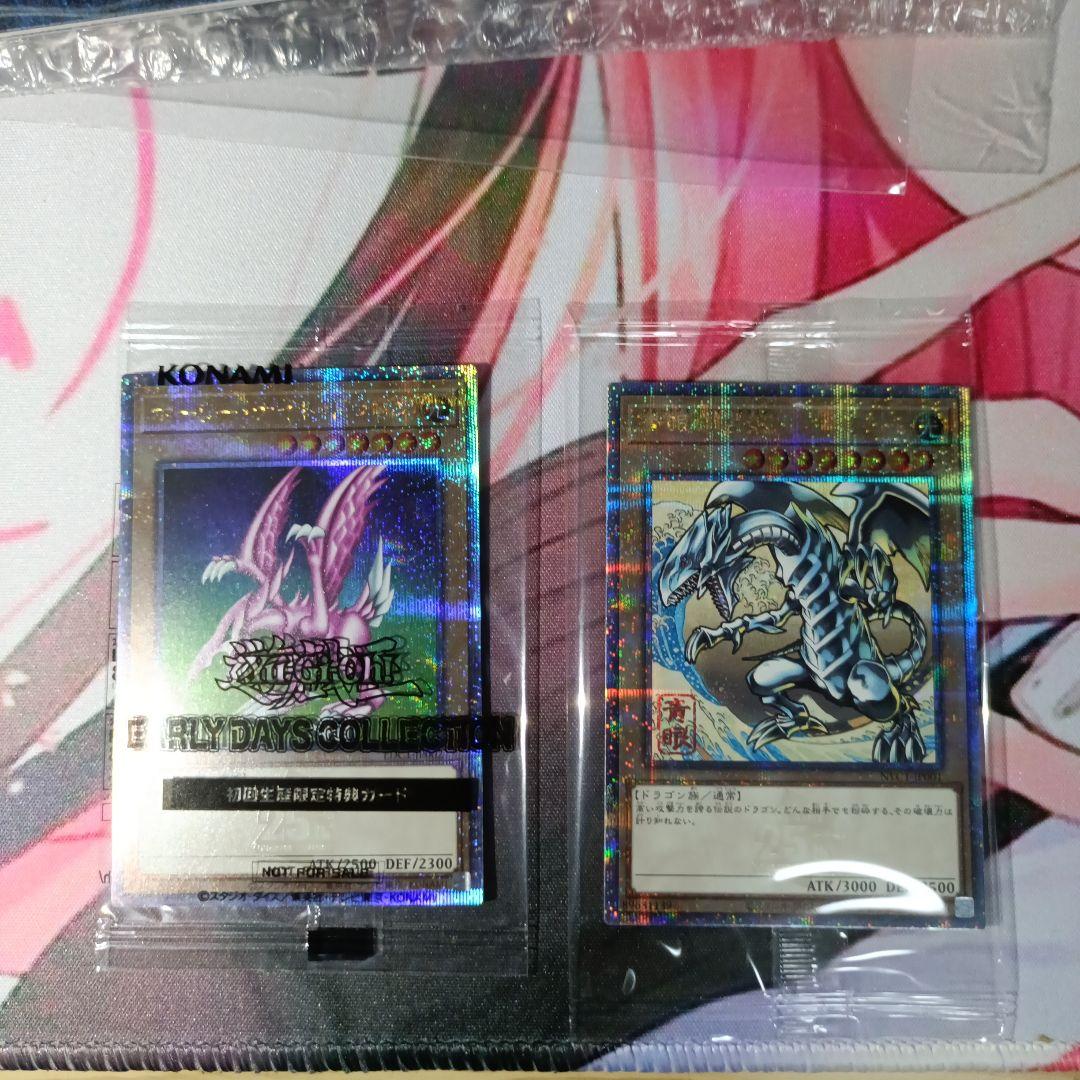 浮世絵青眼の白龍　ホーリーナイト　25th