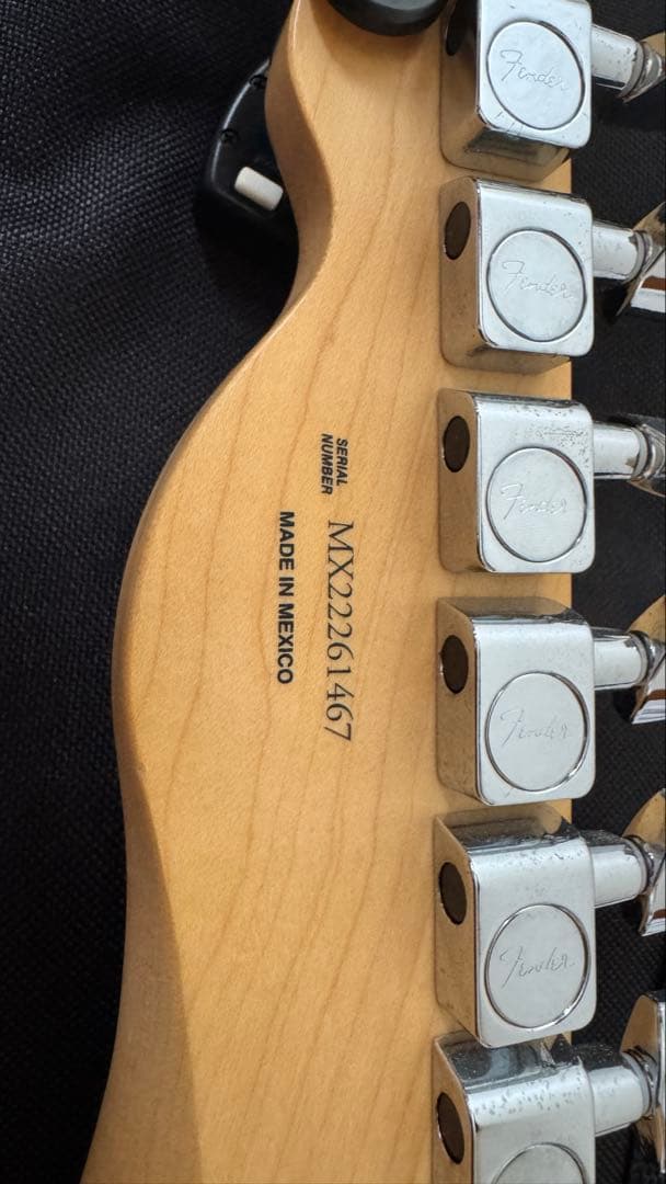 Dustcell ema使用　fender ギター BLACK