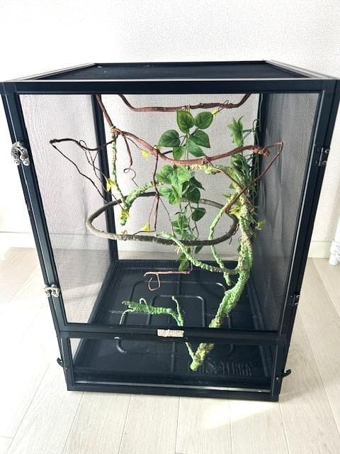 カメレオンケージ GEXエキゾテラ 　メッシュケージ　4個セット