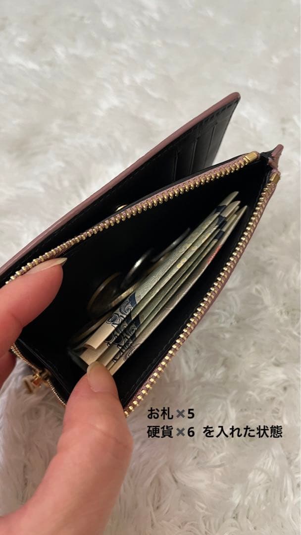 Loewe ロエベ 財布