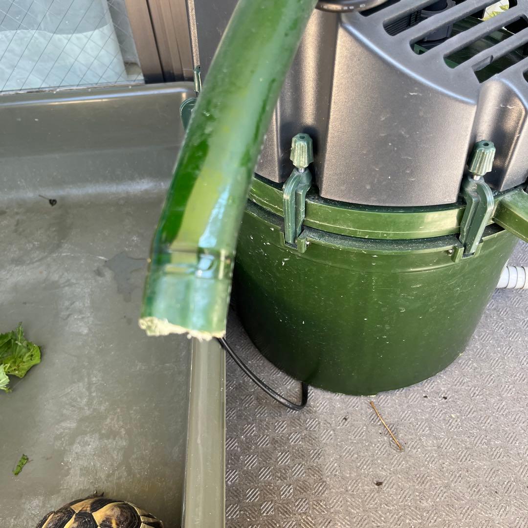 エーハイム2250 60Hz