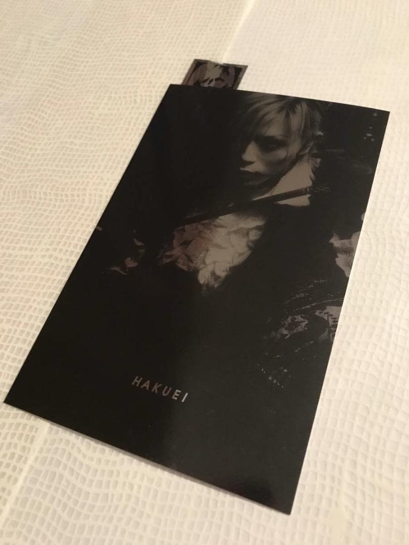 ★限定/HAKUEI/ハクエイ/SPECIAL PHOTOGRAPHS/写真集