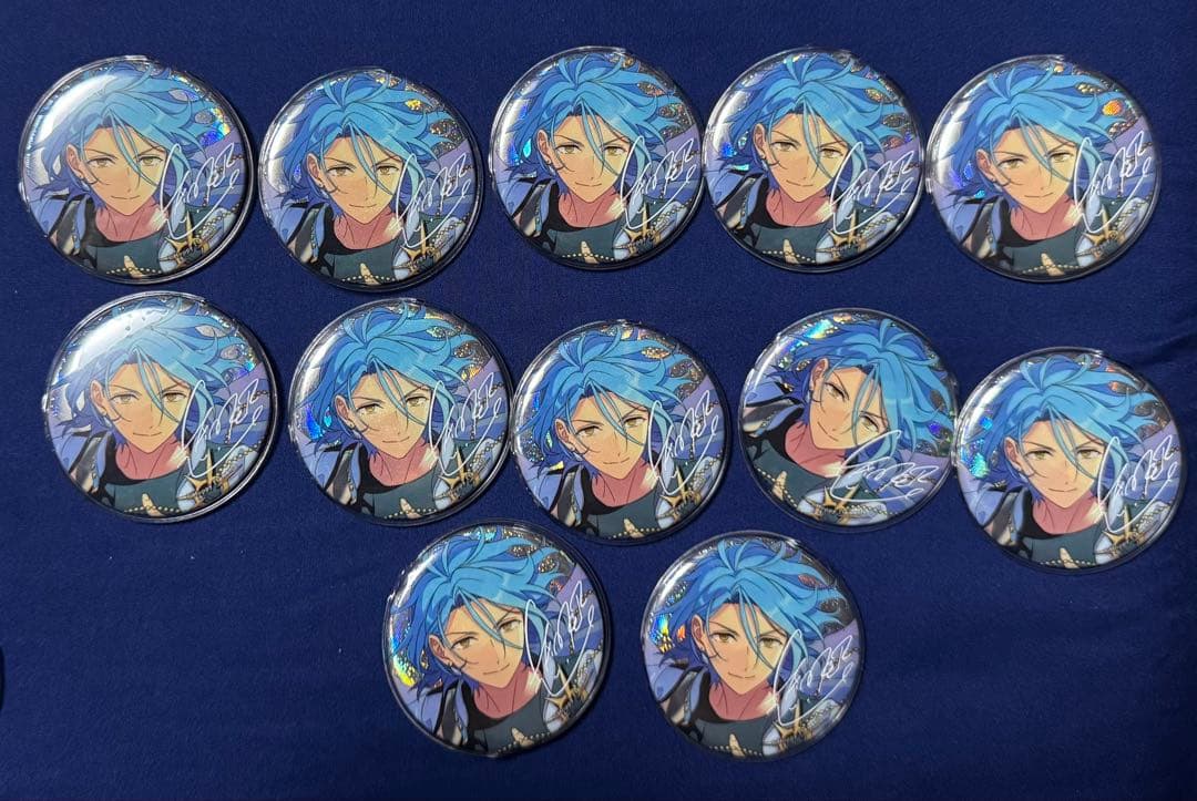 HiMERU 缶バッジ　12点セット