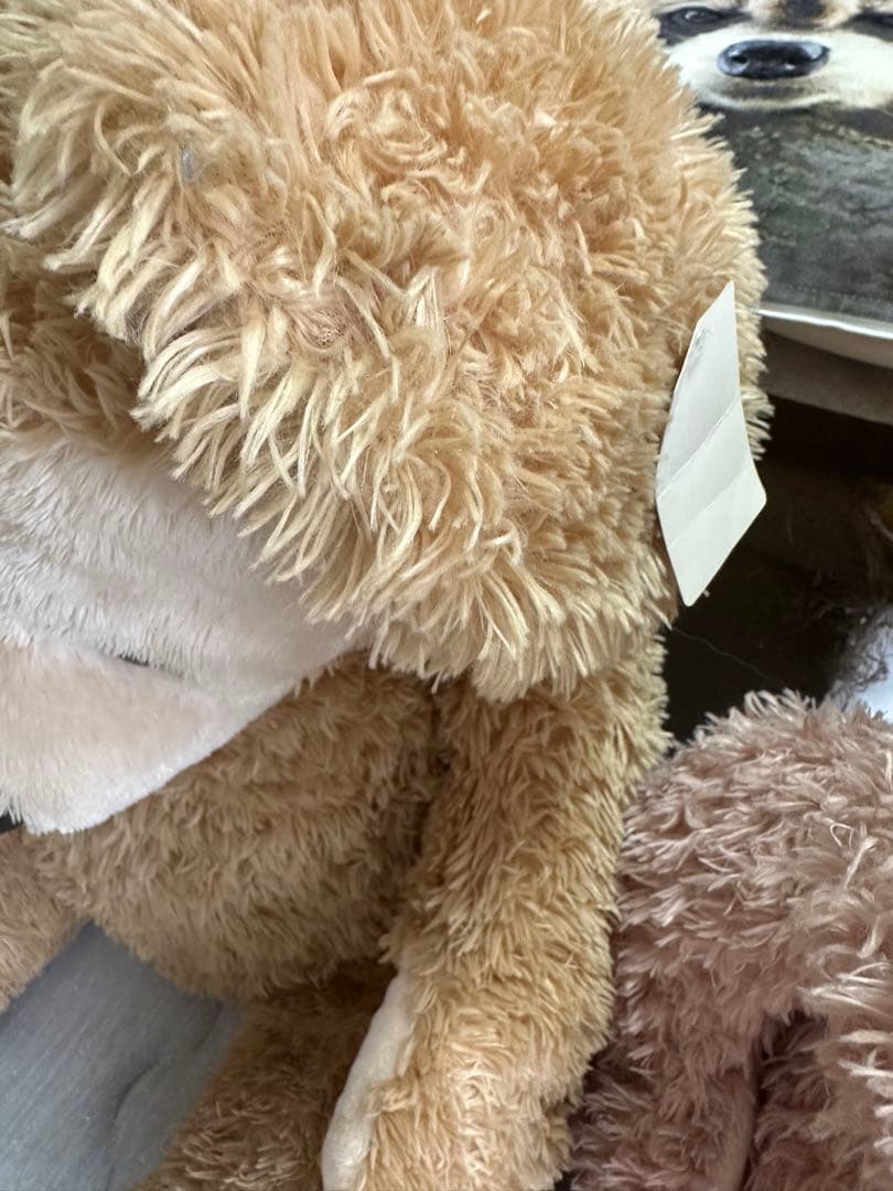 【最終お値下げ】ディズニー 特大サイズ白タグダッフィーとシェリーメイ