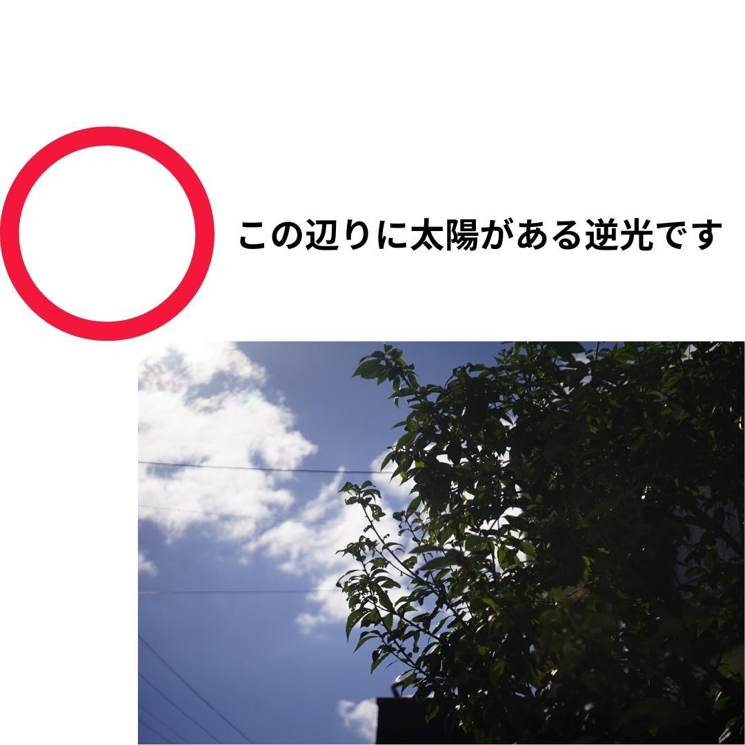 綺麗 光学良し LEICA IIIg / Elmar 50mm F3.5