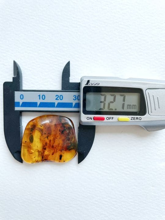 大粒　天然虫入り琥珀　アンバー　夏休み　自由研究　化石　恐竜