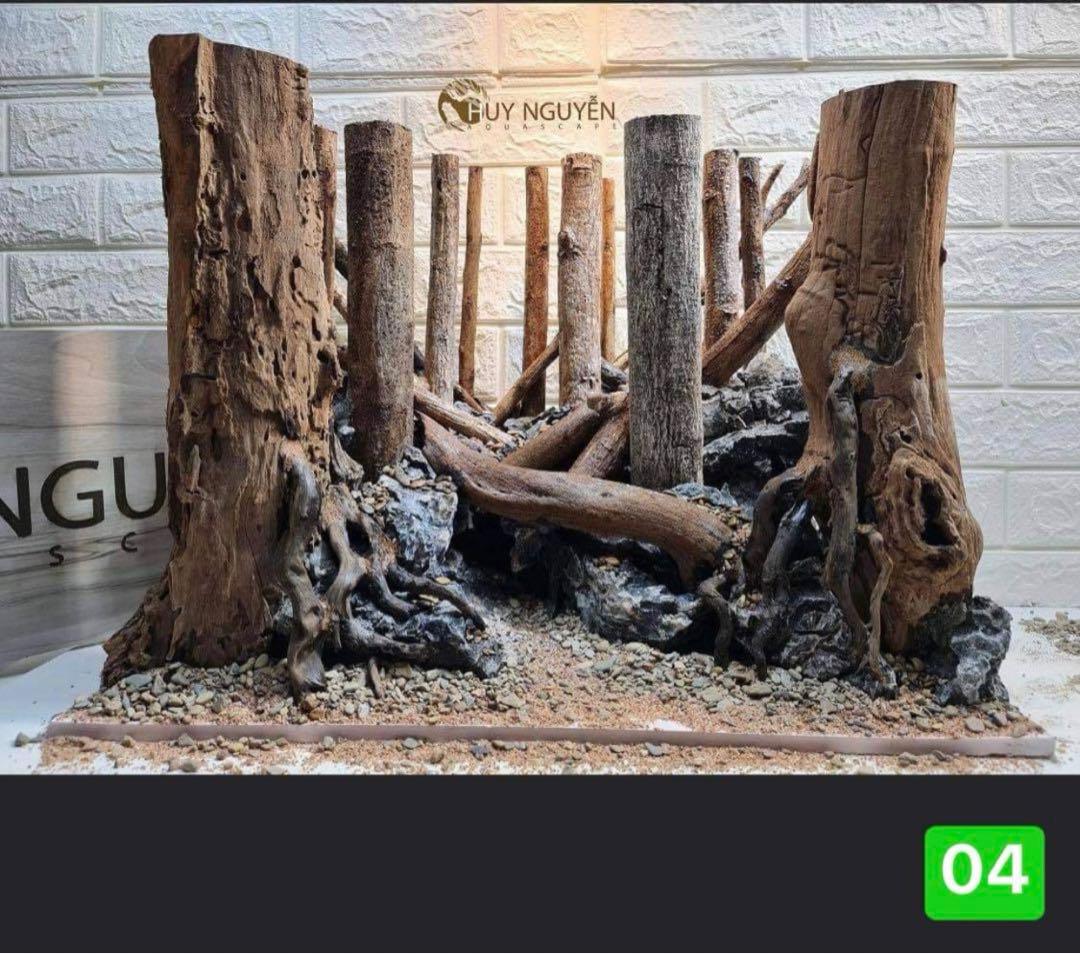 TTD 24160 【⭐︎ きょ様⭐︎】【美品・数量限定】