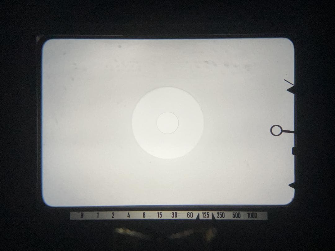 ミノルタ SRT101 & MC ROKKOR-PF 50mm F1.7 #55