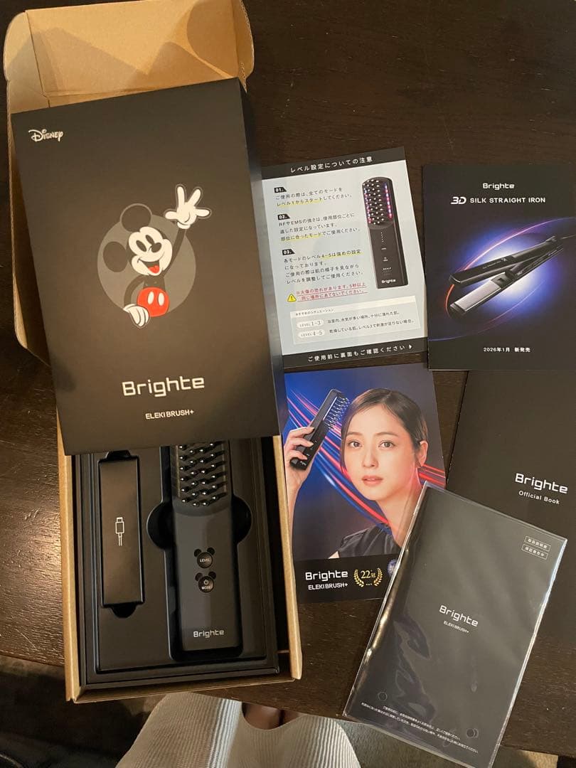 Brighte 3D SILK STRAIGHT IRON ミッキーマウス