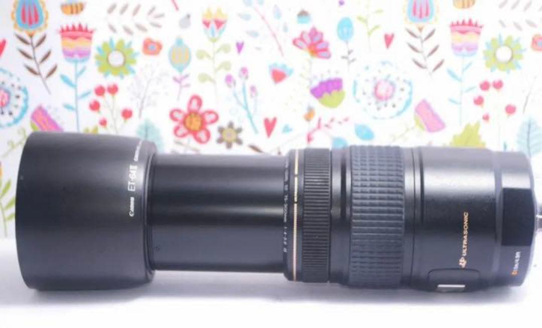美品 Canon EF 75-300mm IS USM☆望遠レンズ☆フィルター付