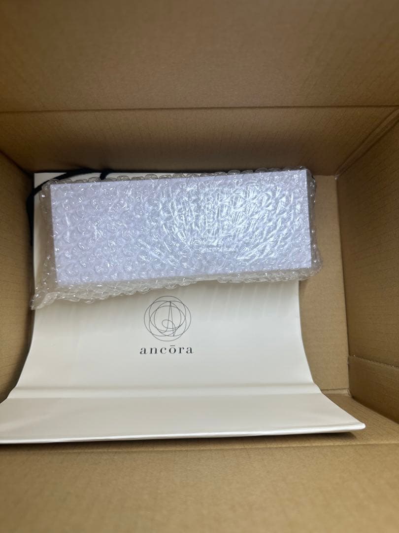 プロフェッショナルギアスリム万年筆 地球 アンコーラ 極細字（EF）