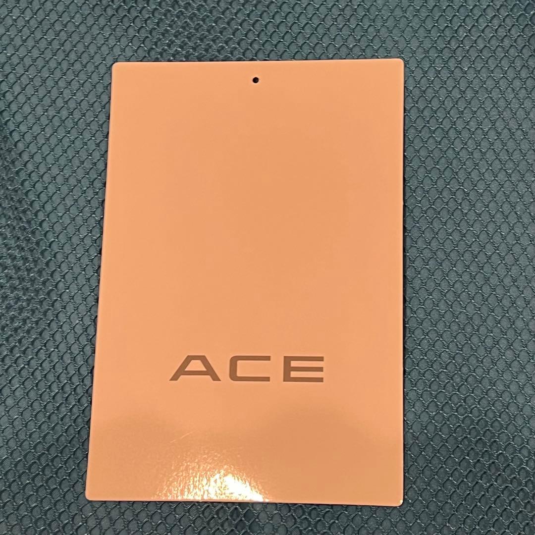 ACE 85L シルバー ストッパー付 キャリーケース 大型 軽量 キャスター