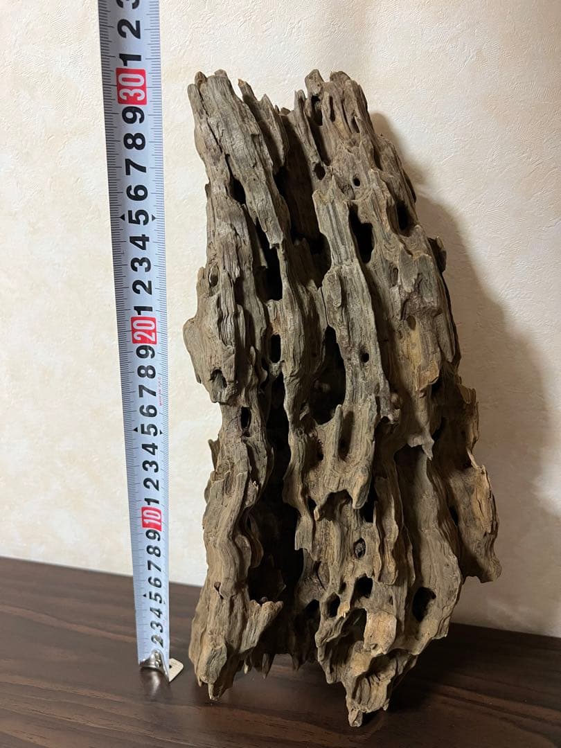 (XM-118)流木　マシンガンウッド　アクアリウム　ブランチウッド