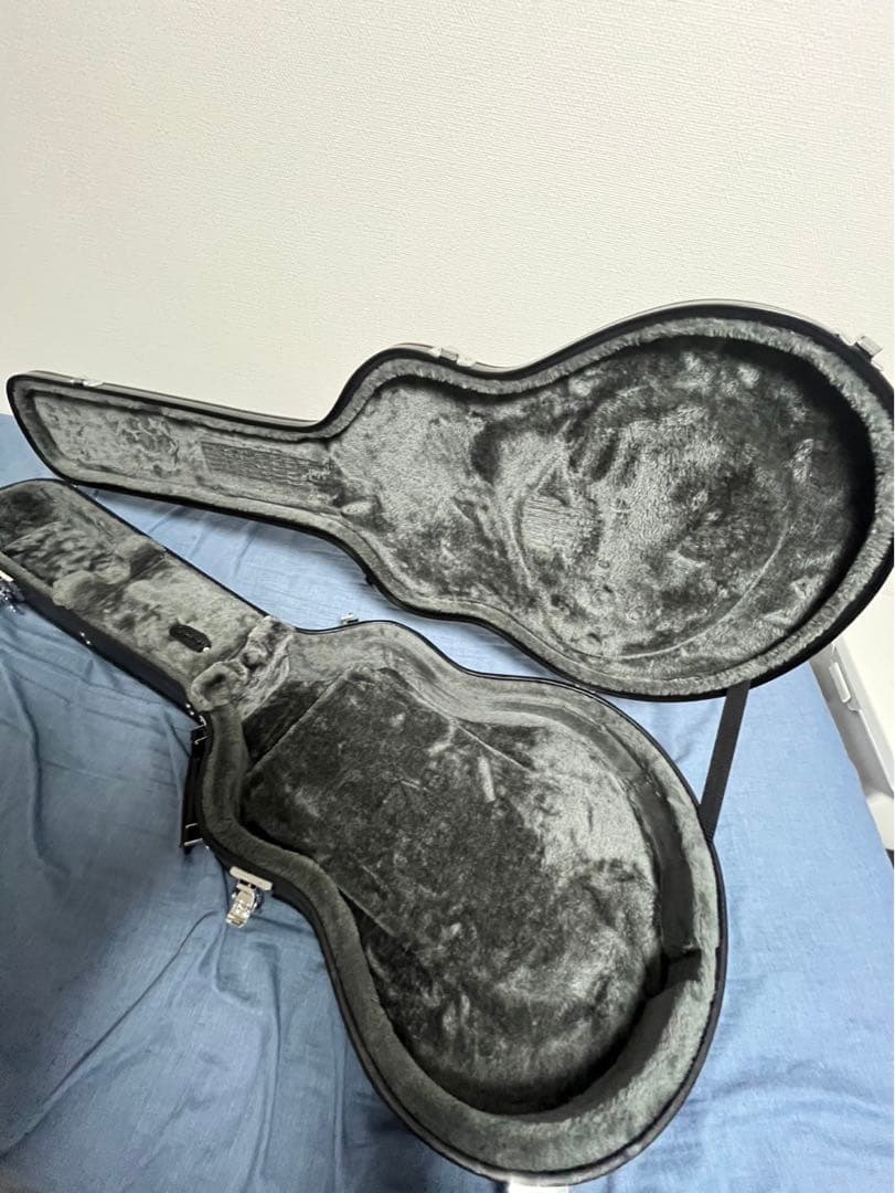 エレキギター epiphone noel galager riviera