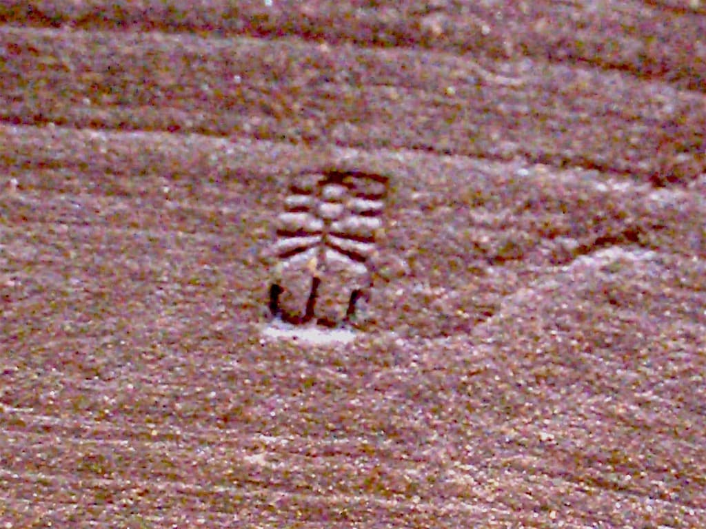 南蛮焼　清水楽山作　花生　無傷　共箱　古物。