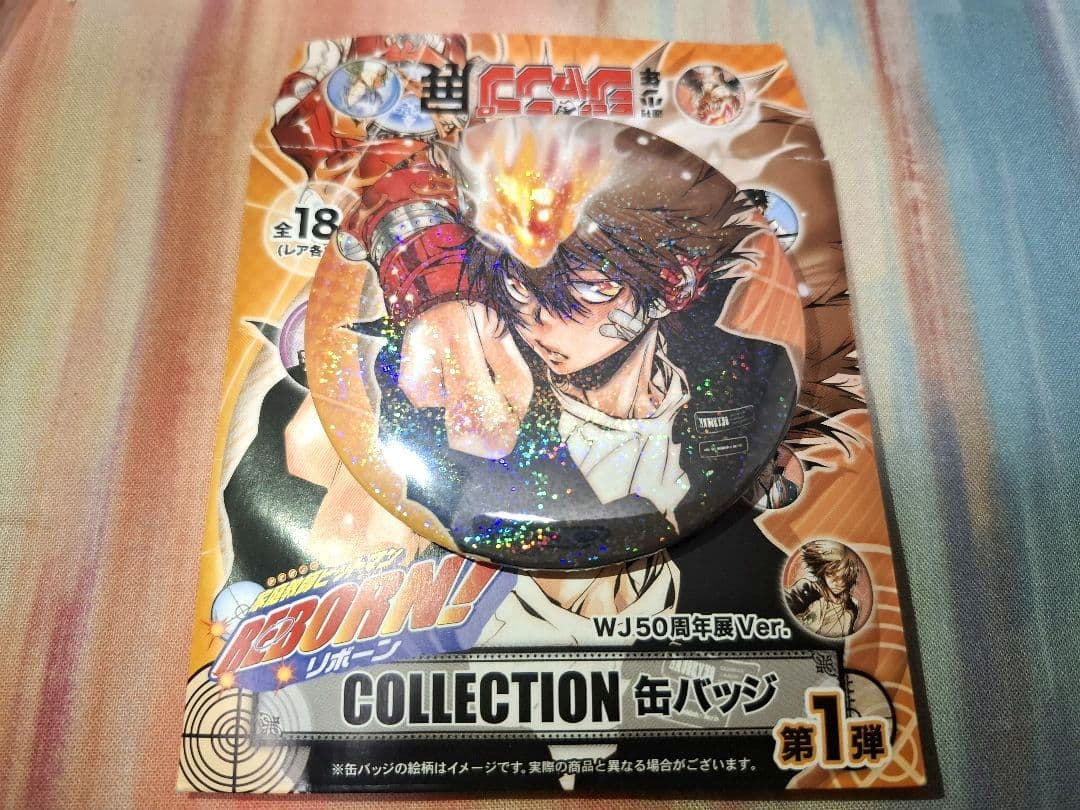 REBORN! コレクション缶バッジ 沢田綱吉