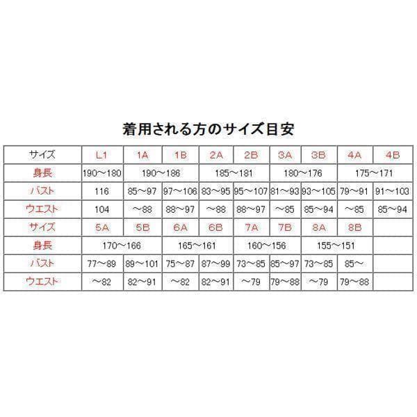 陸上自衛隊 迷彩服　夏　L１