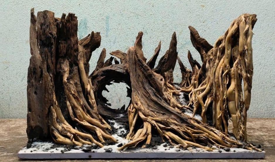 水槽用流木 レイアウト