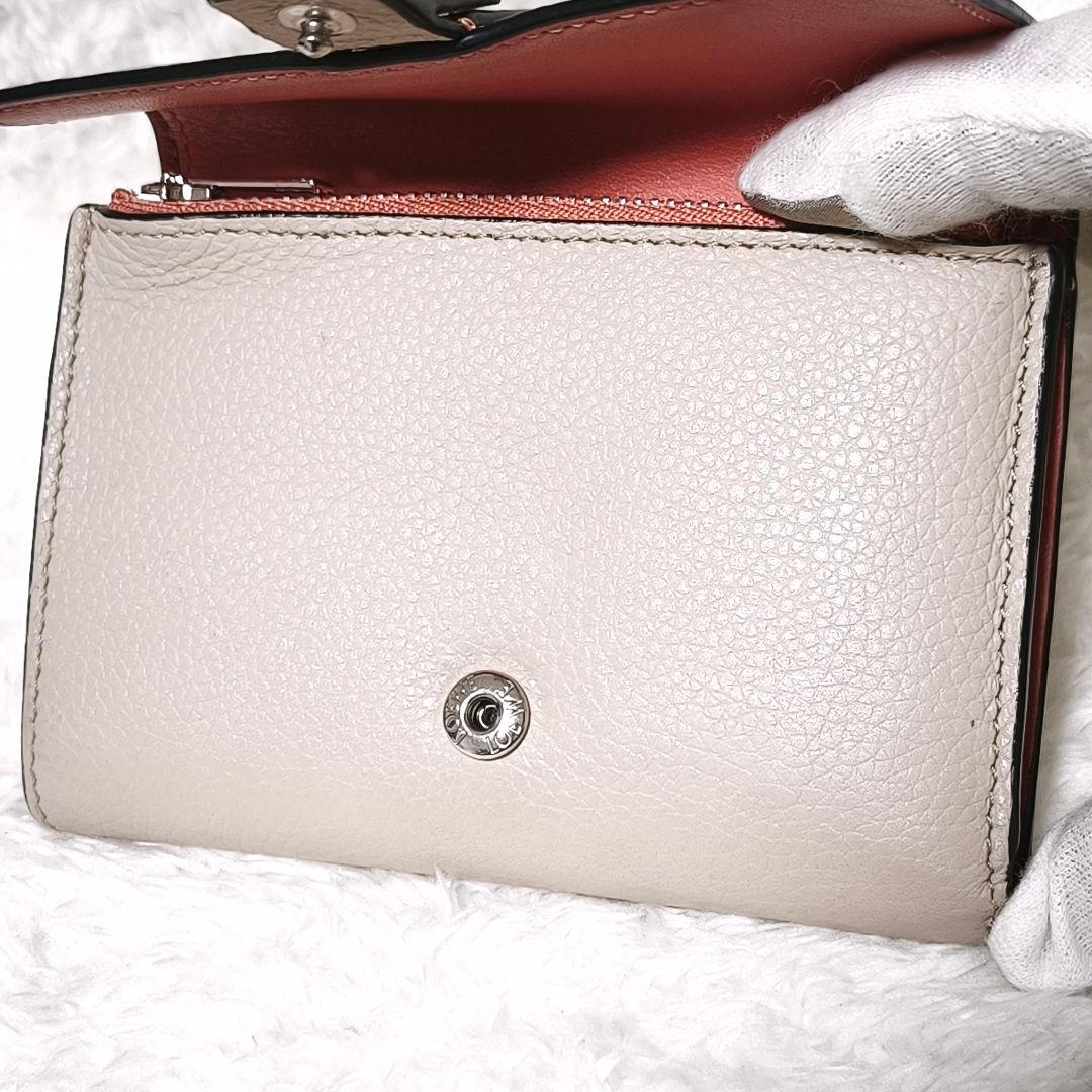 美品✨ LOEWE ロエベ バーティカルウォレット スモール 箱 付属品