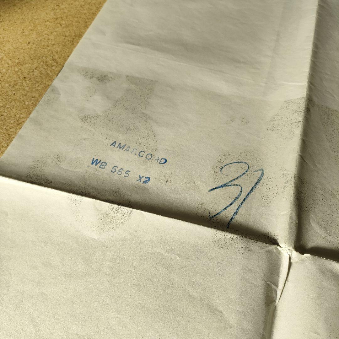 フェデリコ・フェリーニ監督「アマルコルド」 初版オリジナルポスター