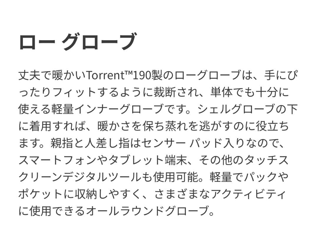 ARC'TERYX ローグローブ