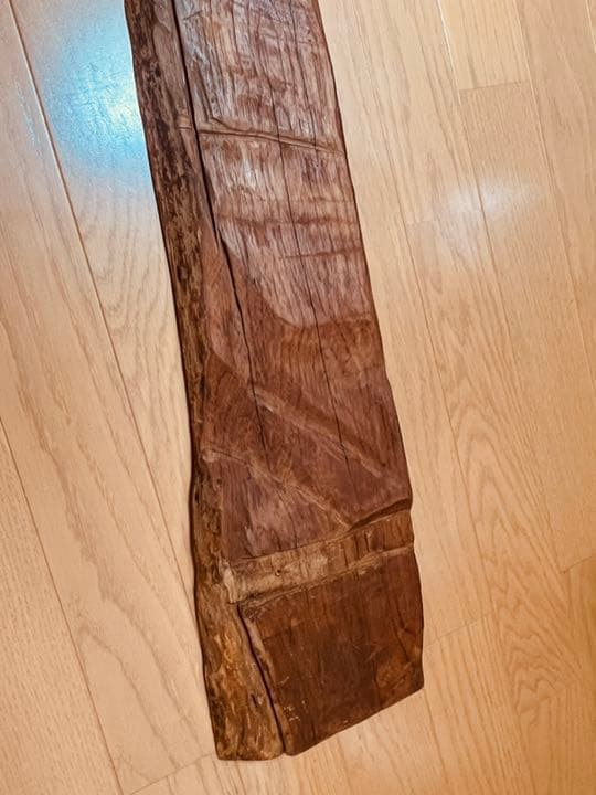 装飾用最高級流木★マングローブ系プレミアム