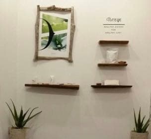 装飾用最高級流木★マングローブ系プレミアム