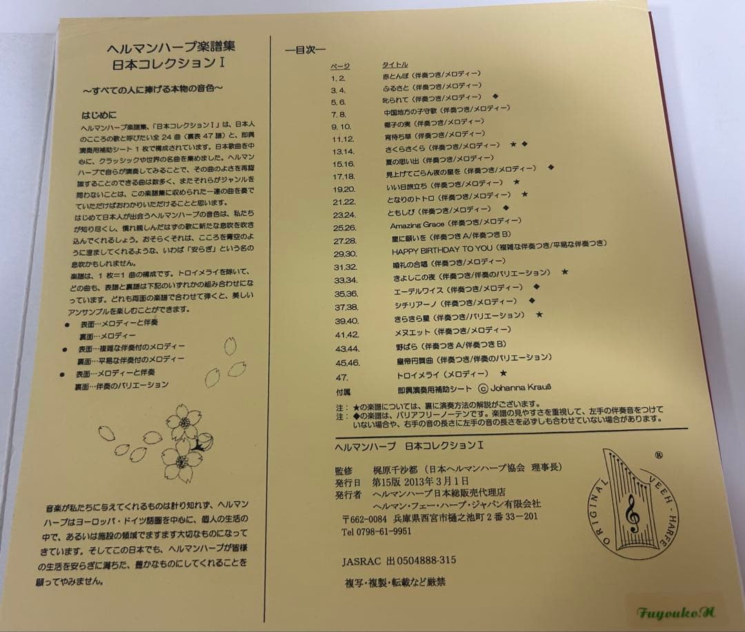 ヘルマンハープ Mタイプ 25弦 2013年製