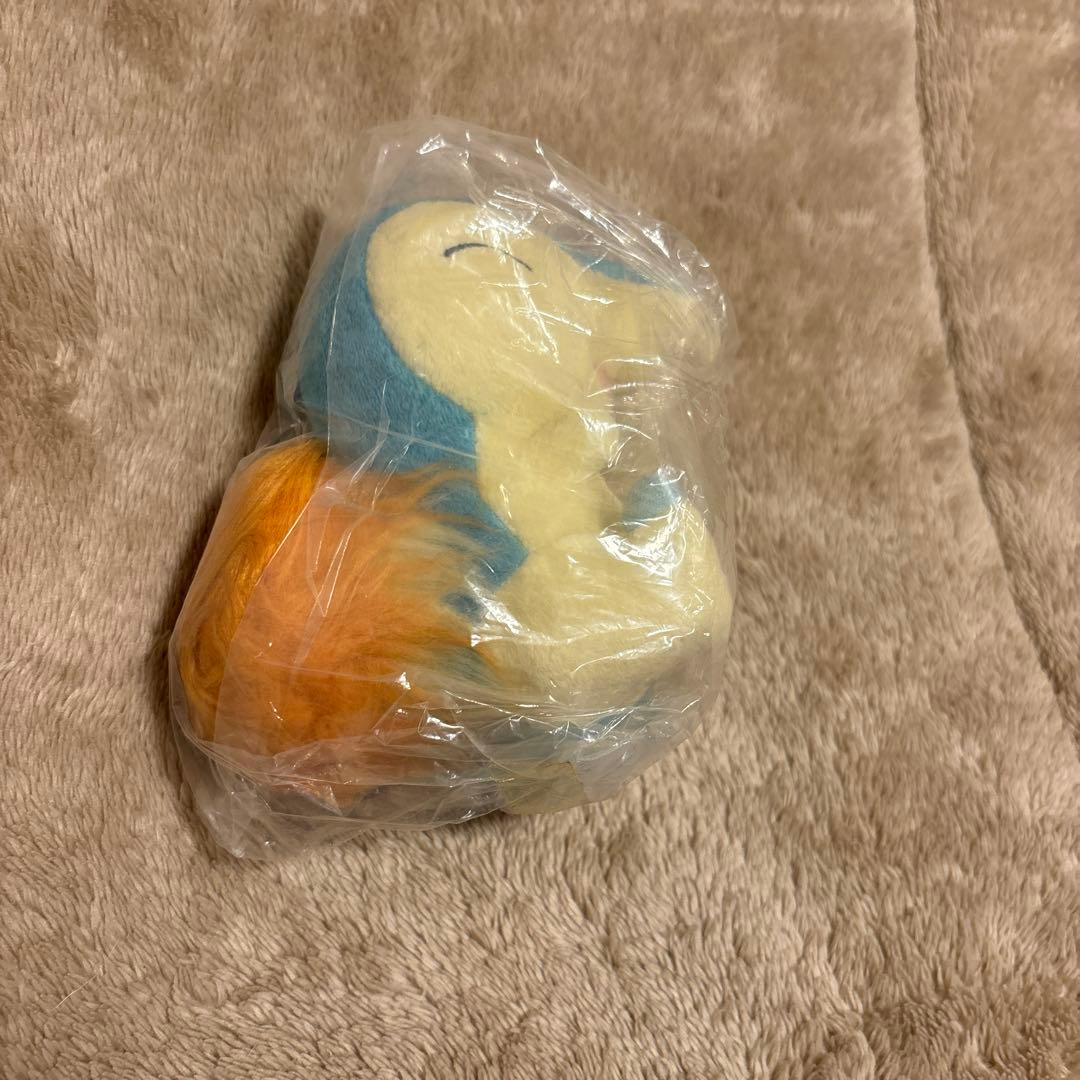 ポケモンセンター　ヒノアラシ　キャンバス　ぬいぐるみ