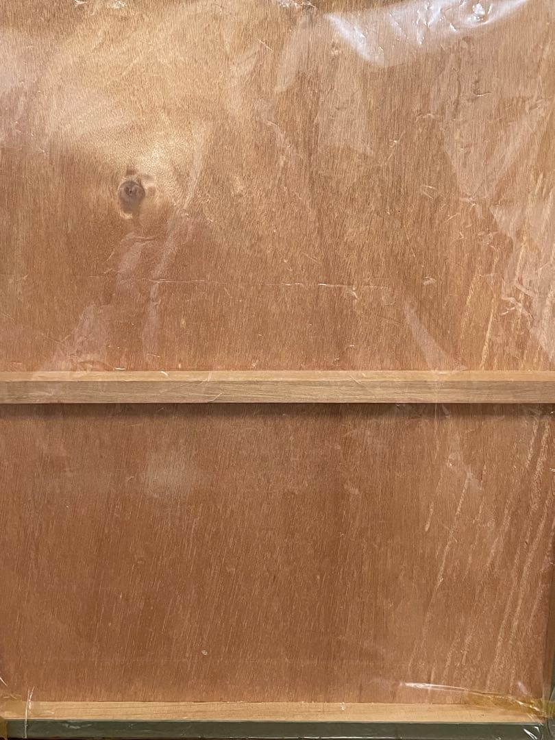 ⭐︎レア⭐︎辰吉丈一郎選手　ラバナレス戦パネル