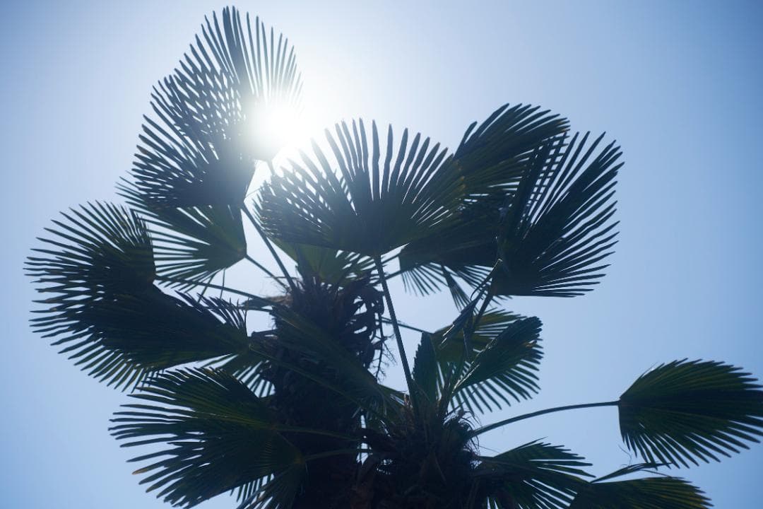 SMC PENTAX-M F1.4 /50mm KマウントL82