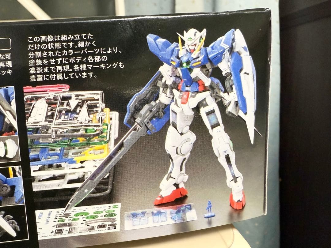 HG GNアームズ TYPE-E〔REAL COLOR〕＆RGガンダム エクシア