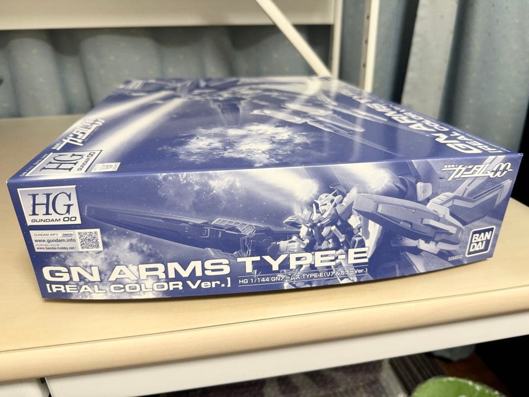 HG GNアームズ TYPE-E〔REAL COLOR〕＆RGガンダム エクシア