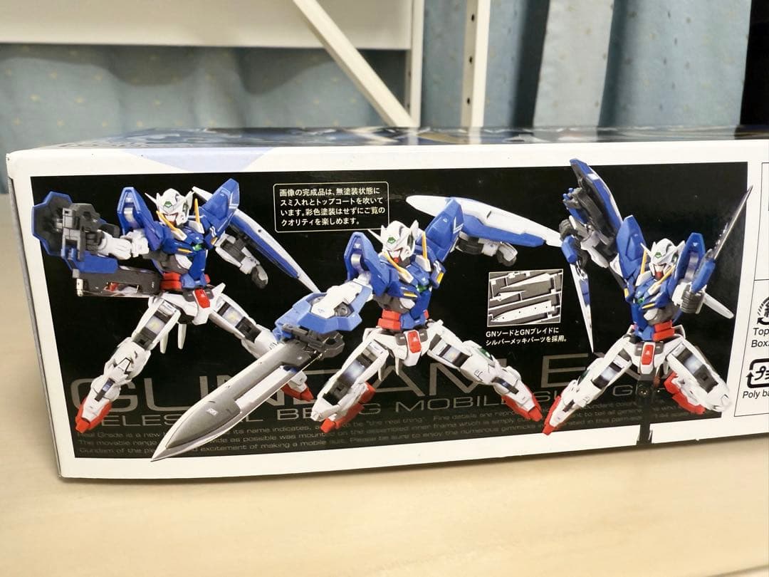 HG GNアームズ TYPE-E〔REAL COLOR〕＆RGガンダム エクシア