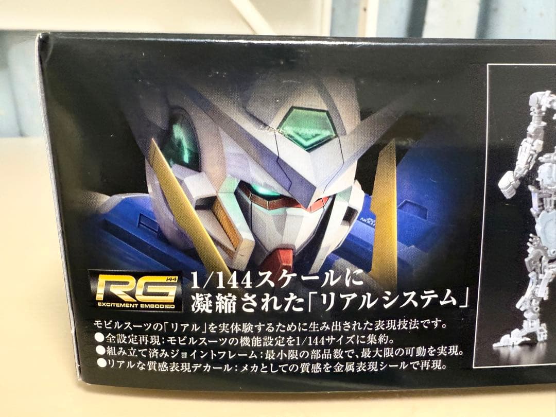 HG GNアームズ TYPE-E〔REAL COLOR〕＆RGガンダム エクシア