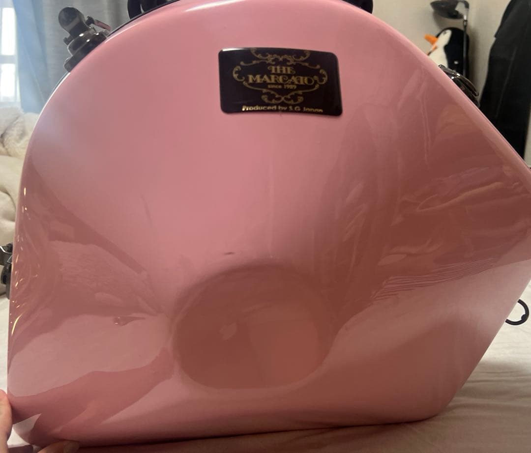 io HR-1054Rフレンチホルン本体 ピンクケース付き