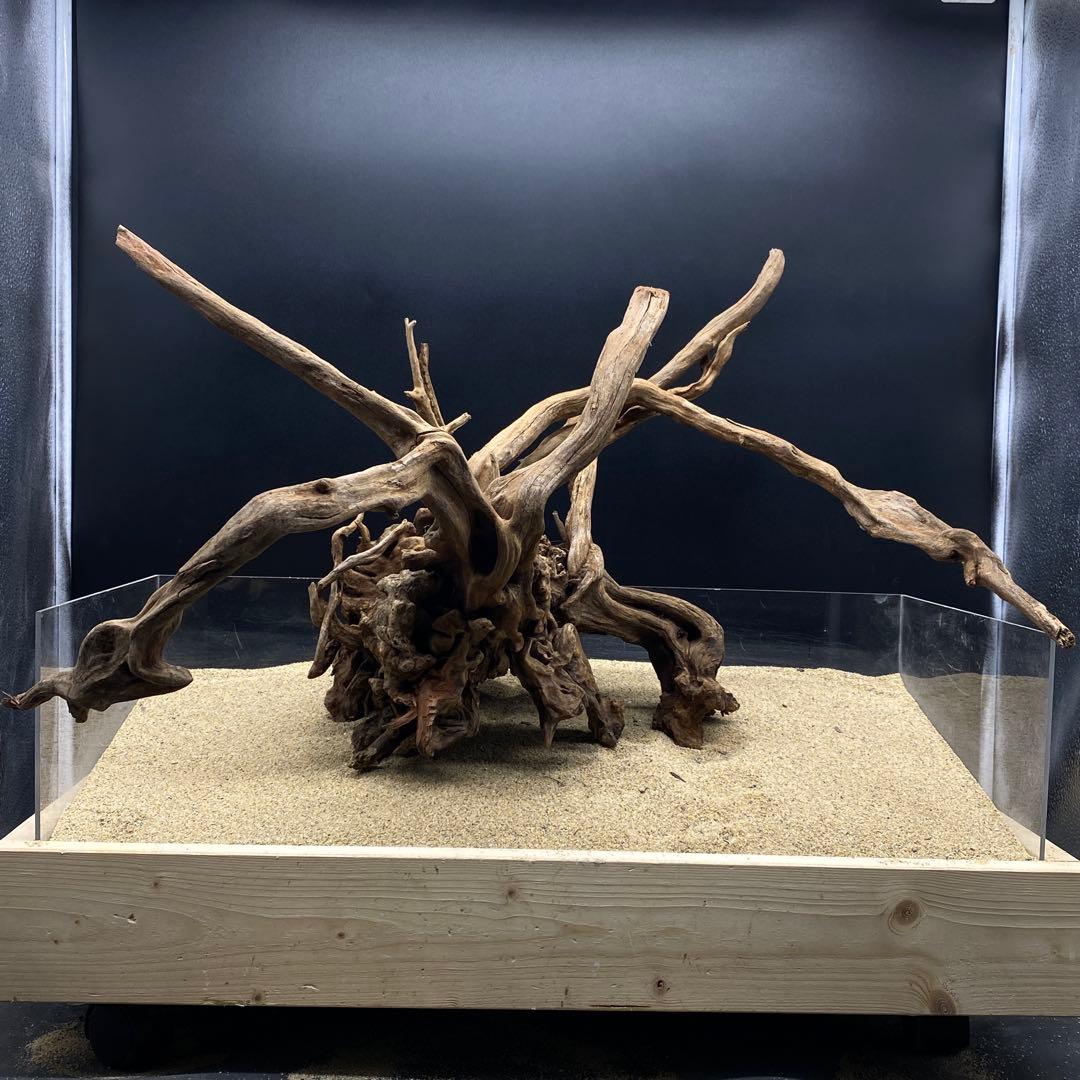 MSRW-6625 特大天然流木1点物　スリムウッド　アクアリウム