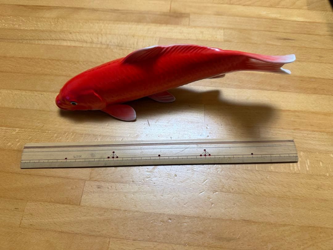 オールドノリタケ　鯉　美品