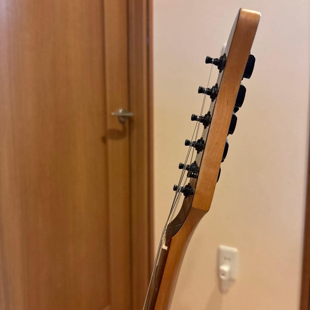 FERNANDES FSR-50 ブラックパーツ仕様 アーム・ストラップ　新品弦