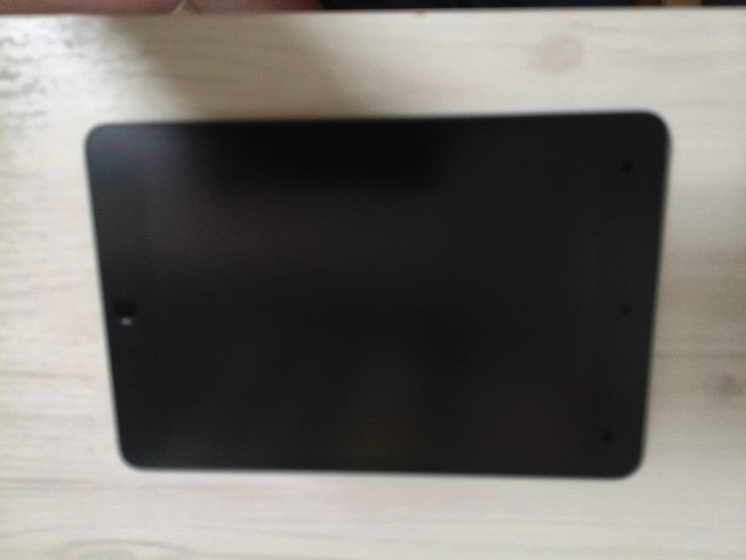 iPad mini5 64GB 本体のみ