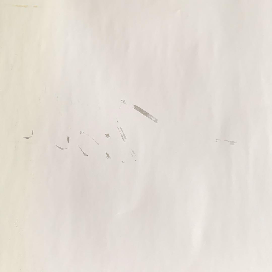 Aimer　insane dream/us　台湾限定　ポスター　直筆サイン入り