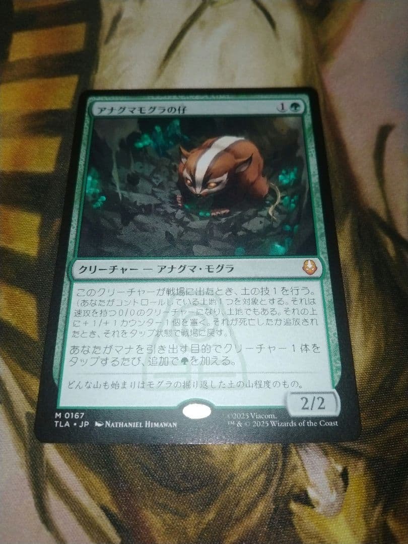 アナグマモグラの仔