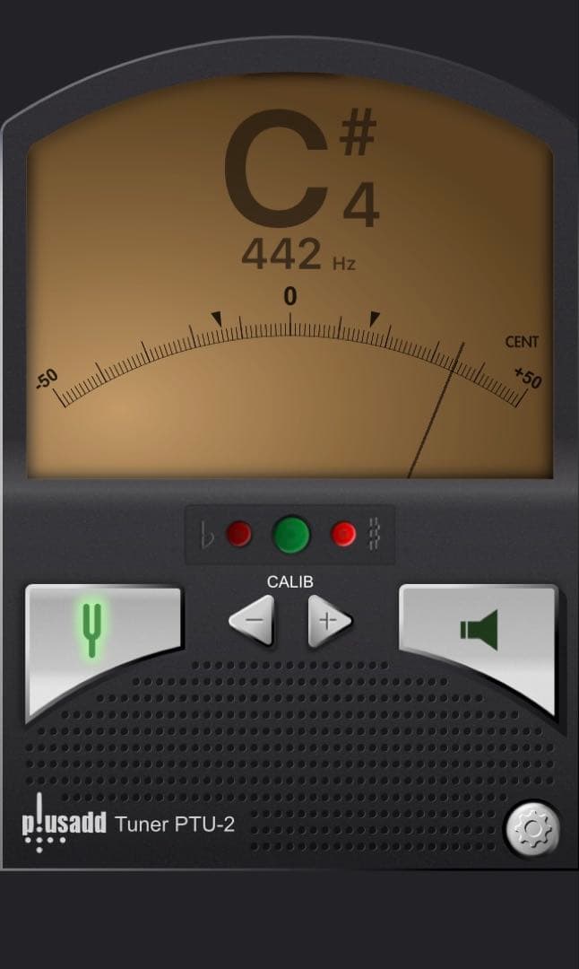 チューンド•タイゴング ハイオクターブ C#' 中古