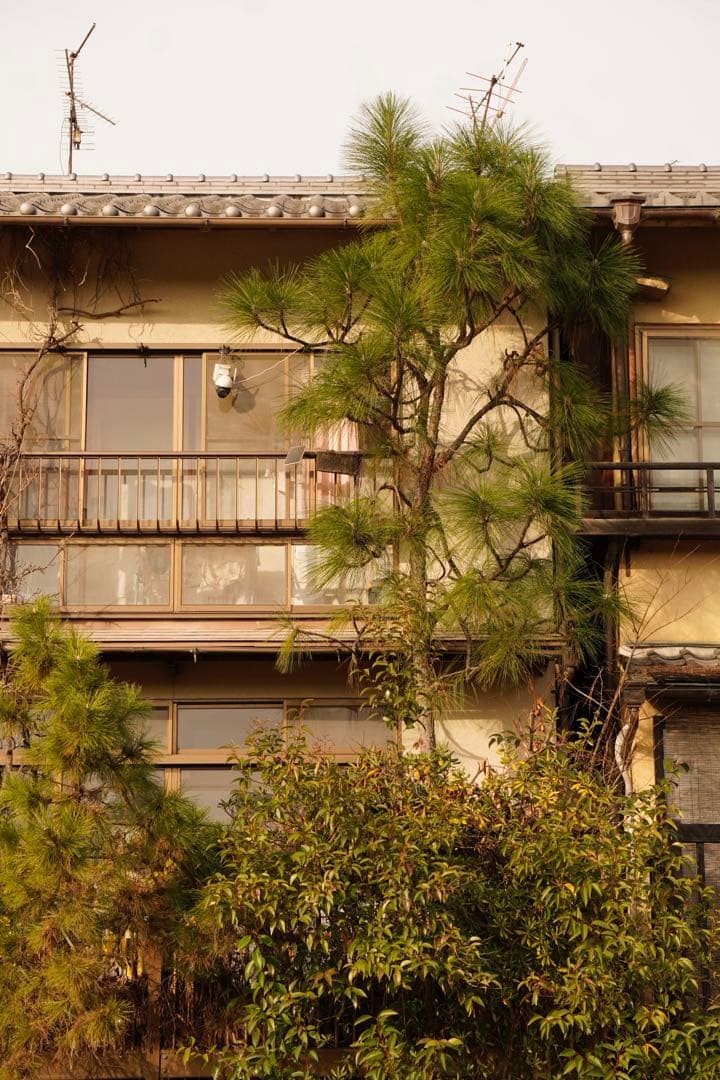 ユ*名様 ユ*ー様 α6400 a6400ミラーレスカメラ ダブルズームキット